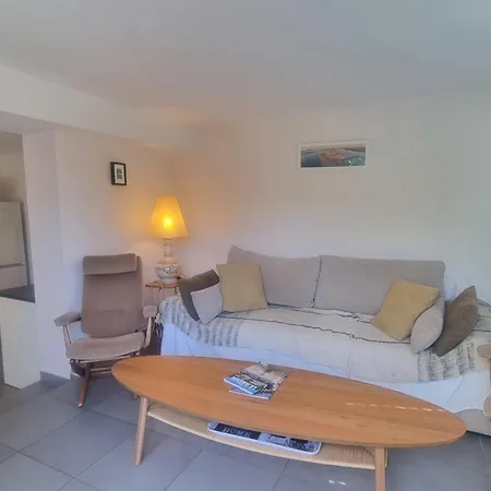 Large Family With Garden Close To The * Arcachon