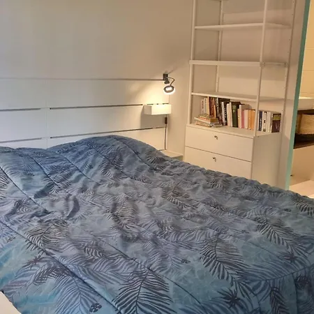 Apartment Large Family With Garden Close To The Arcachon